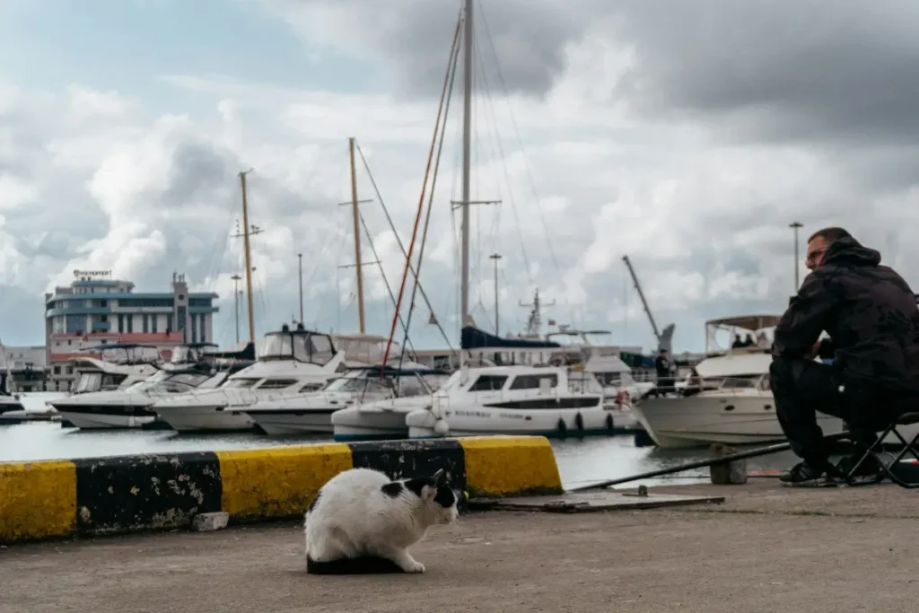 servicio de mantenimiento de barcos en port ginesta 6